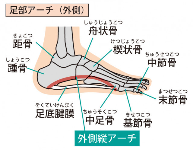 アーチの画像