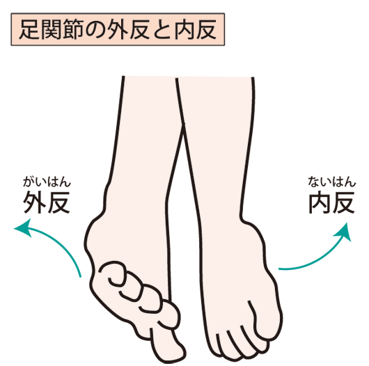 足の画像